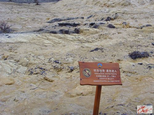 点击在新窗口查看原始图片