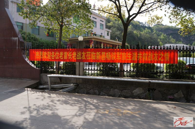 点击在新窗口查看原始图片