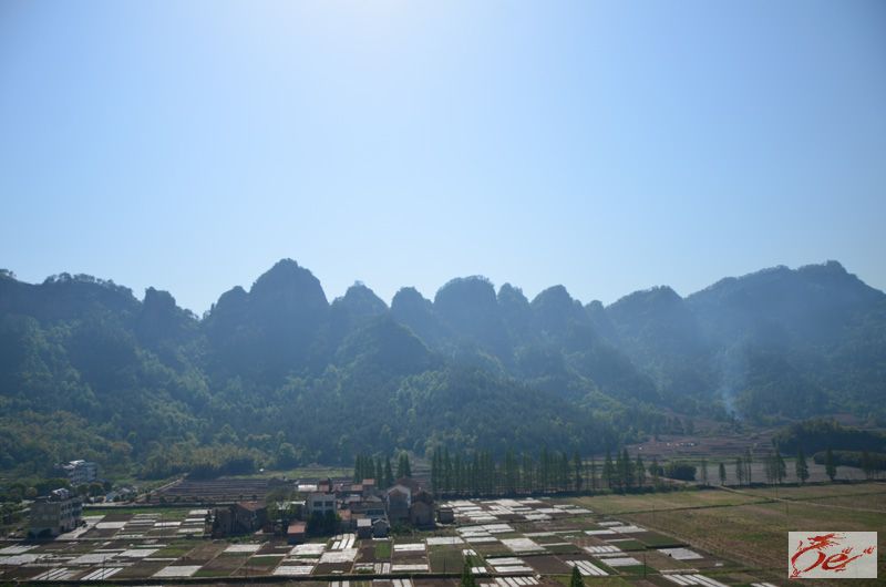点击在新窗口查看原始图片