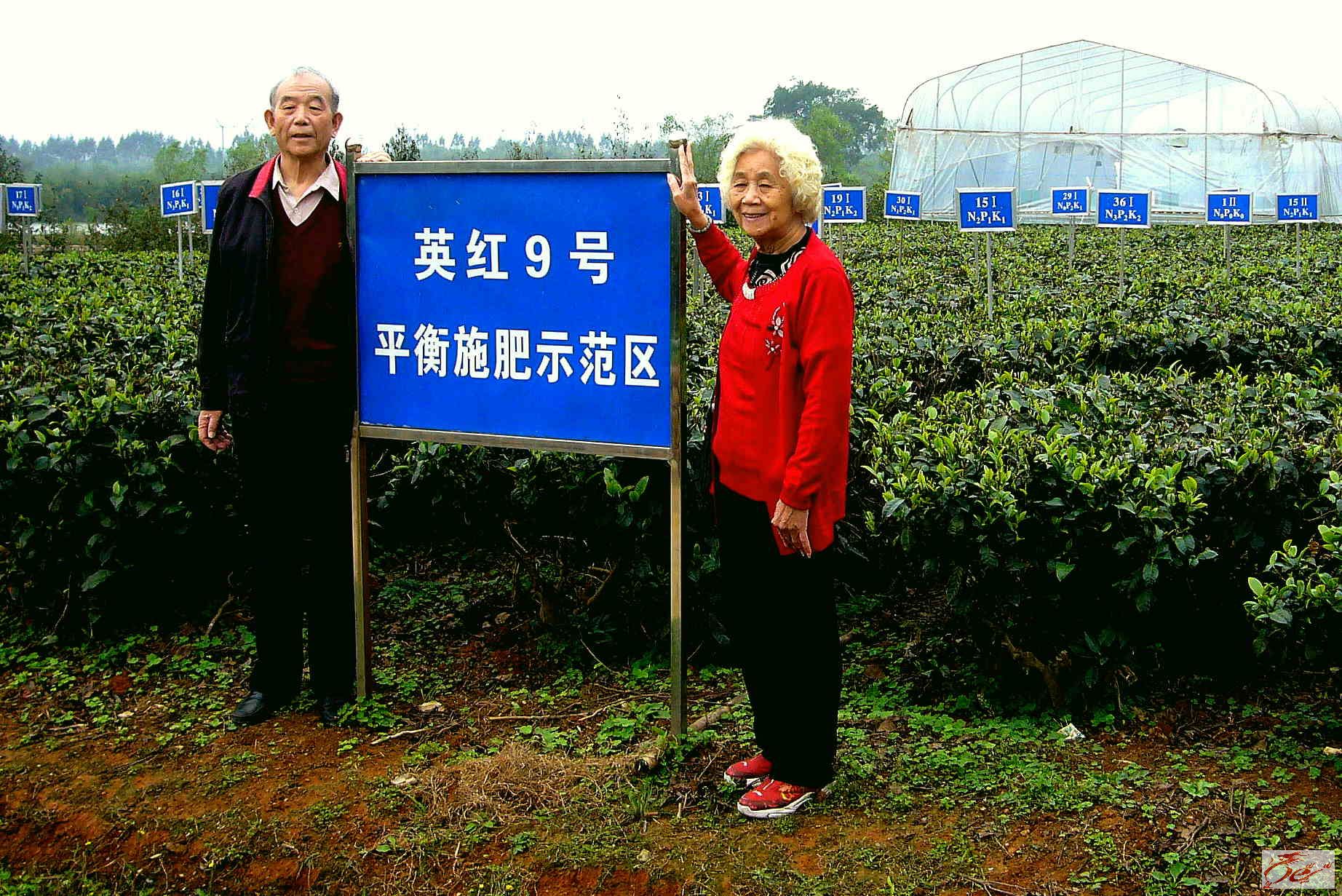 点击在新窗口查看原始图片