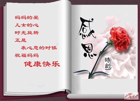 点击在新窗口查看原始图片