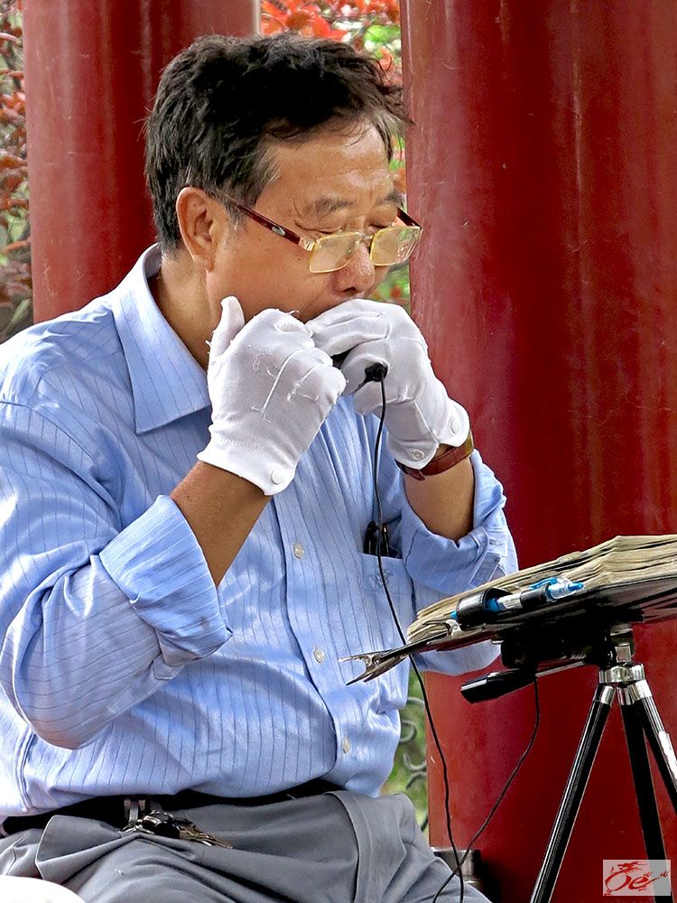 点击在新窗口查看原始图片