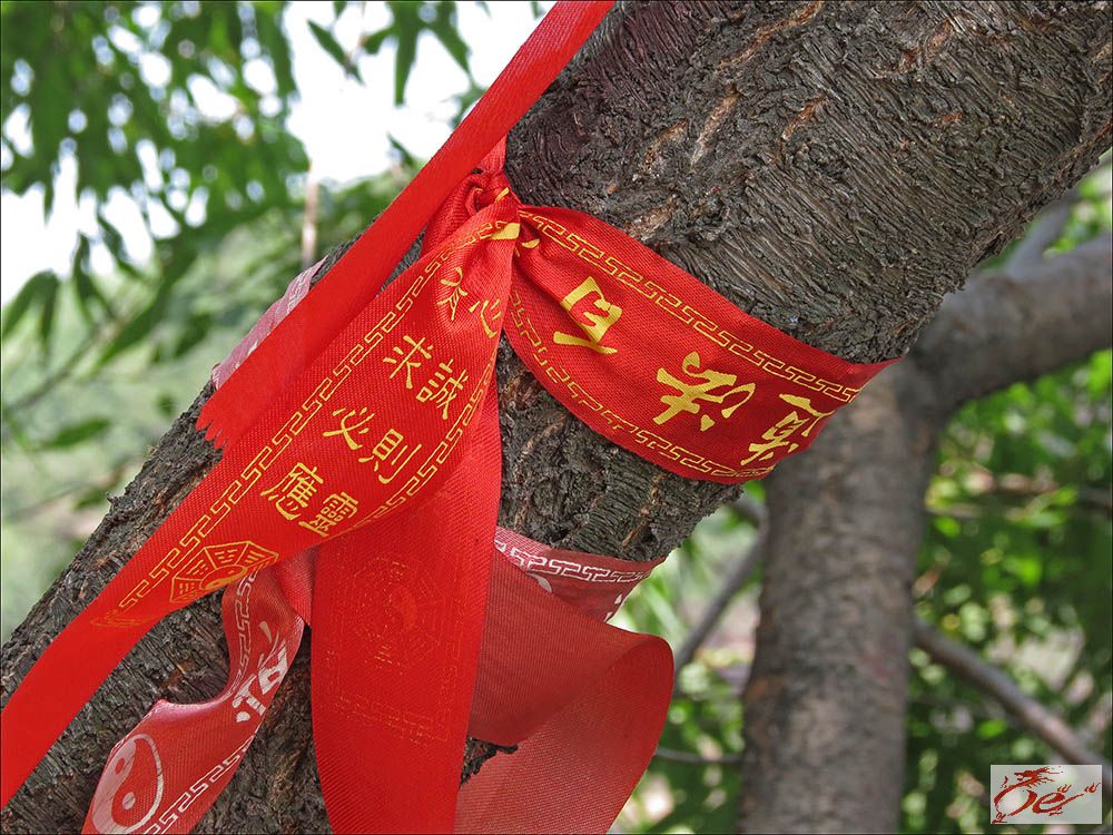 点击在新窗口查看原始图片