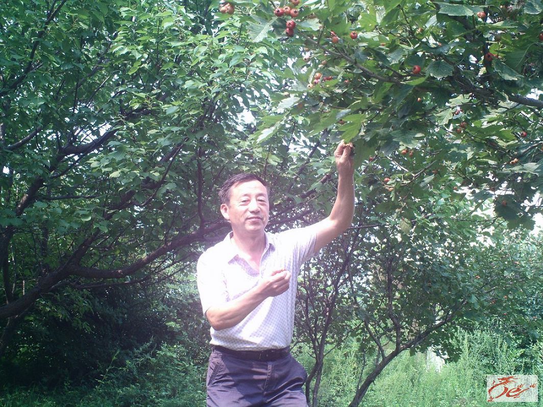 点击在新窗口查看原始图片