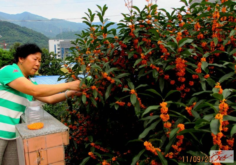 点击在新窗口查看原始图片