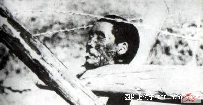 点击在新窗口查看原始图片