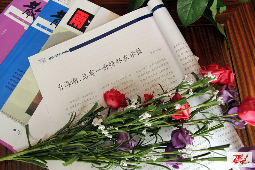 点击在新窗口查看原始图片