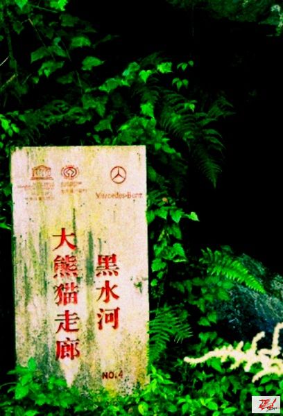 点击在新窗口查看原始图片