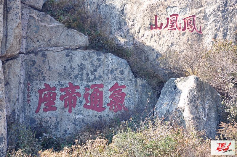 点击在新窗口查看原始图片