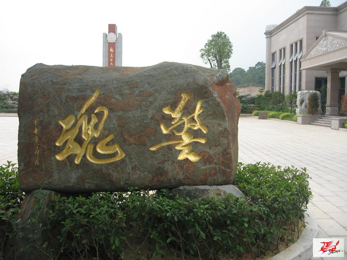 点击在新窗口查看原始图片