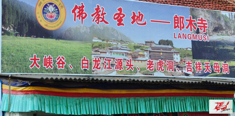点击在新窗口查看原始图片