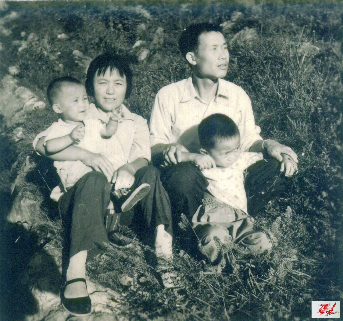 点击在新窗口查看原始图片