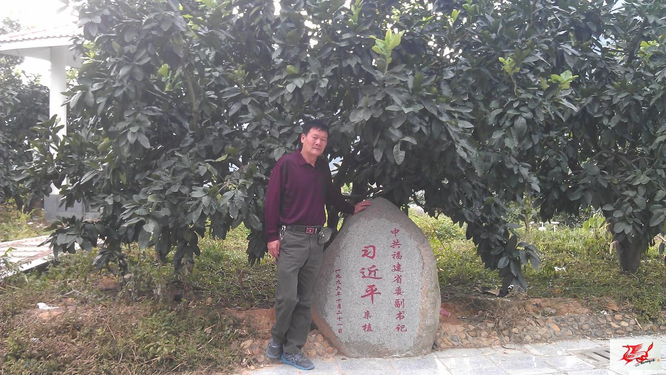 点击在新窗口查看原始图片