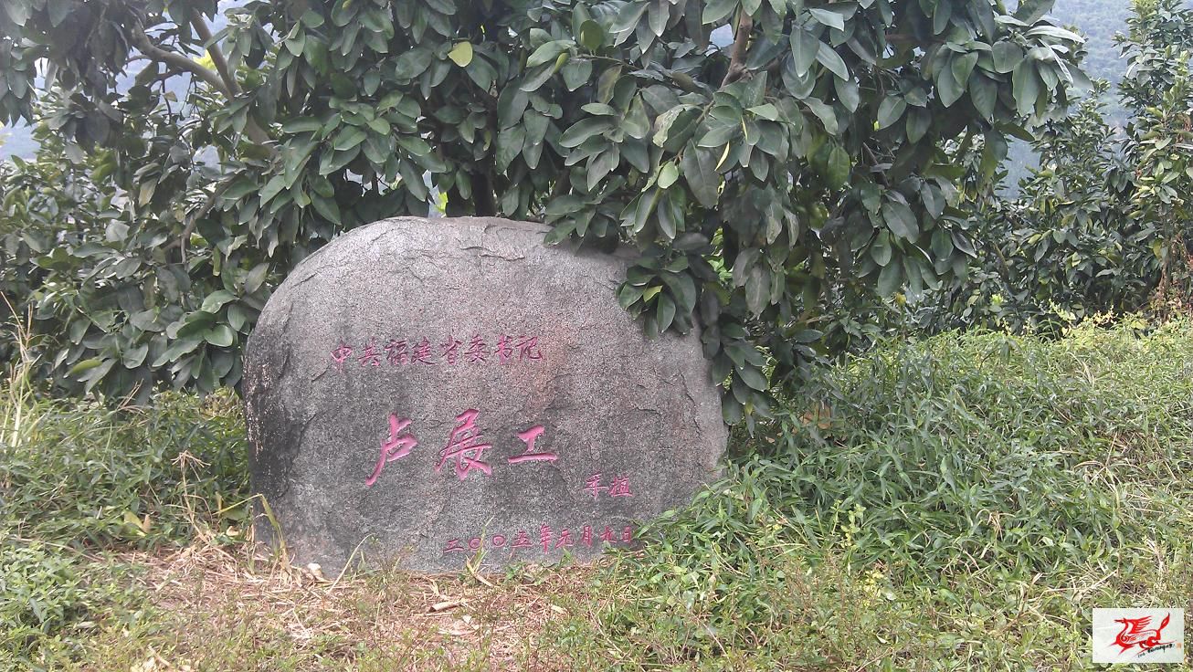 点击在新窗口查看原始图片
