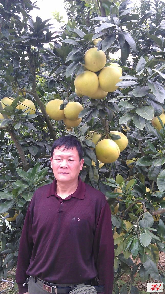 点击在新窗口查看原始图片