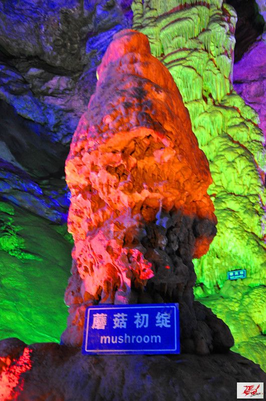 点击在新窗口查看原始图片