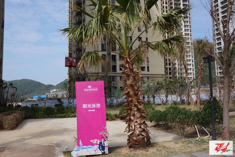 点击在新窗口查看原始图片