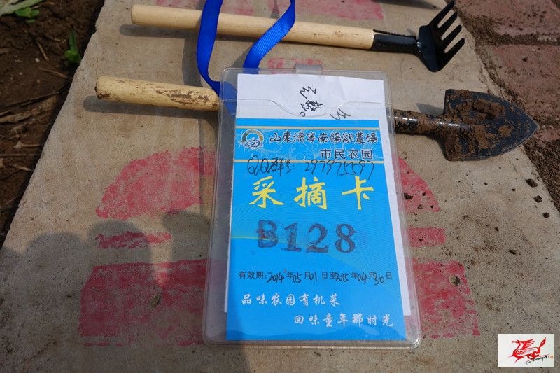 点击在新窗口查看原始图片