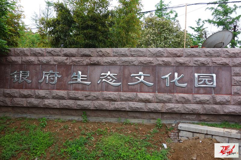 点击在新窗口查看原始图片