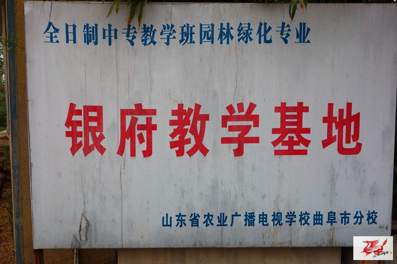 点击在新窗口查看原始图片