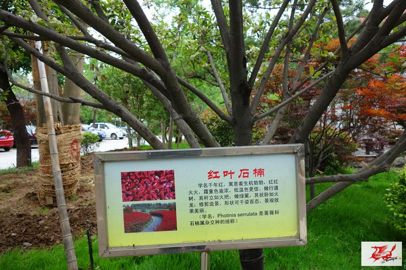 点击在新窗口查看原始图片