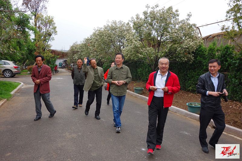 点击在新窗口查看原始图片