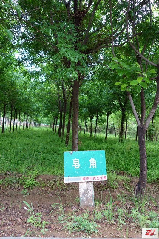 点击在新窗口查看原始图片