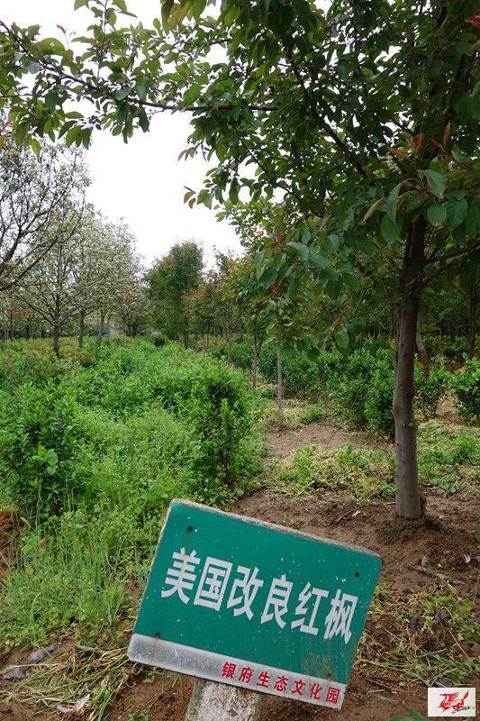 点击在新窗口查看原始图片