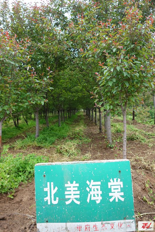 点击在新窗口查看原始图片