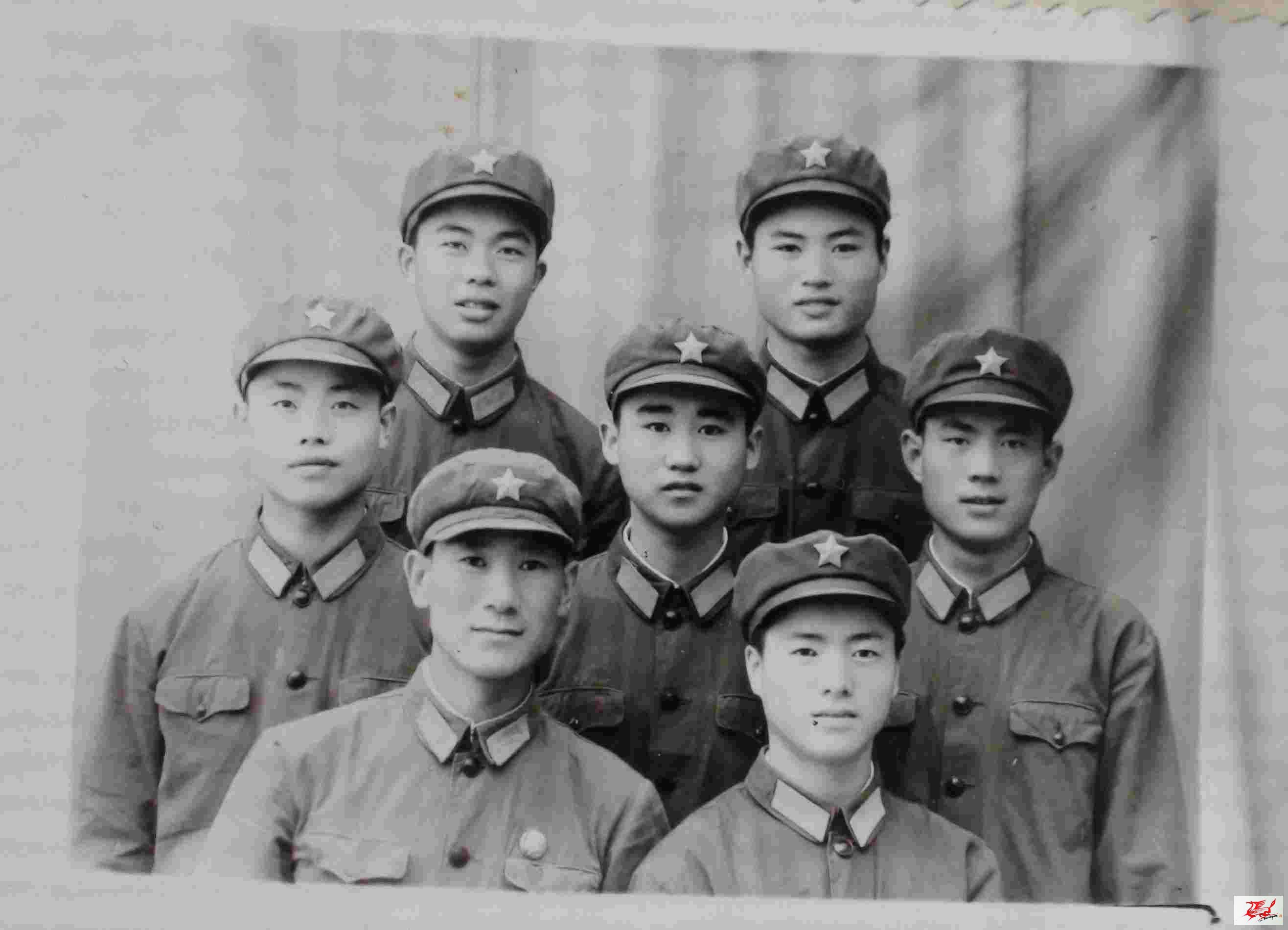 点击在新窗口查看原始图片