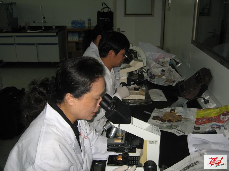 点击在新窗口查看原始图片
