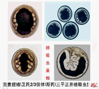 点击在新窗口查看原始图片
