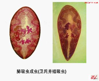 点击在新窗口查看原始图片