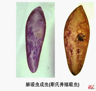 点击在新窗口查看原始图片