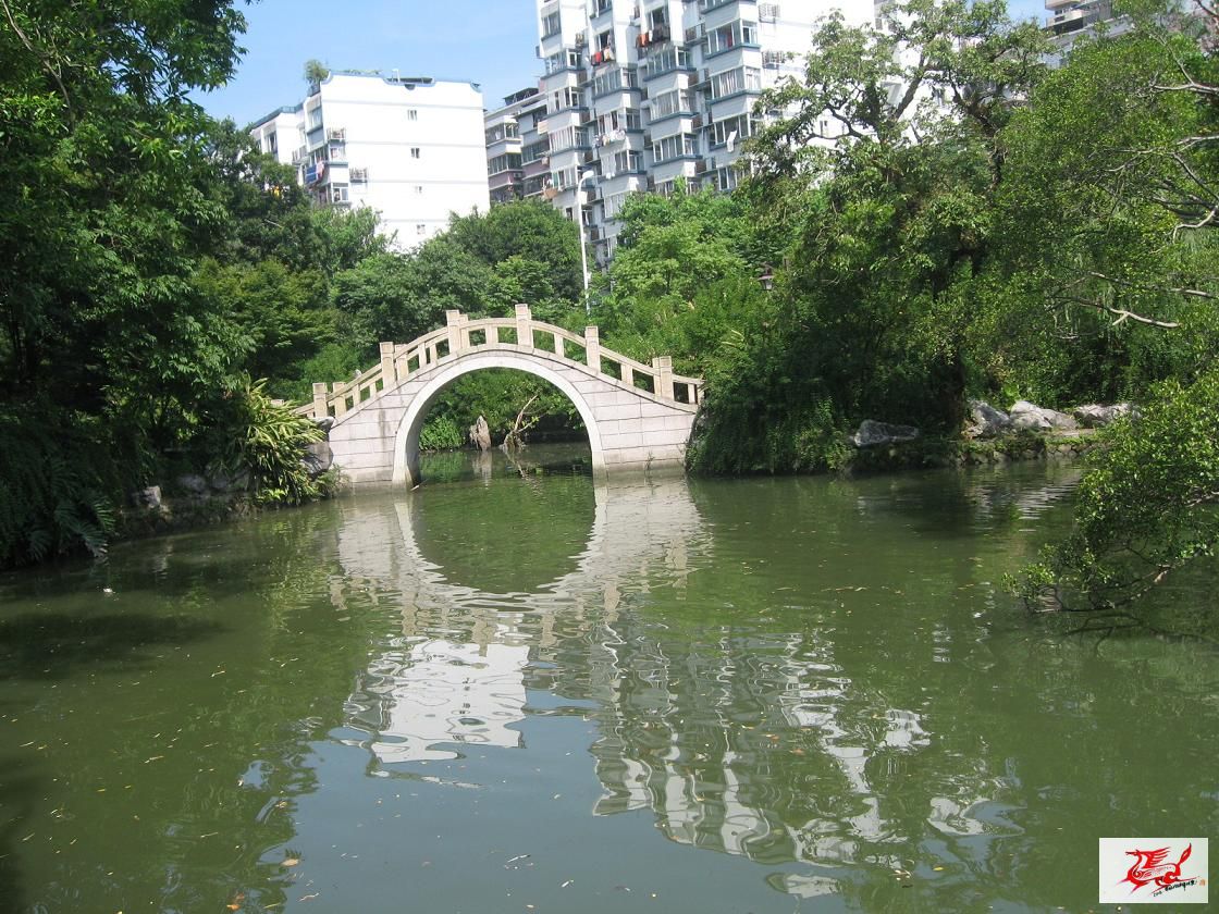 点击在新窗口查看原始图片