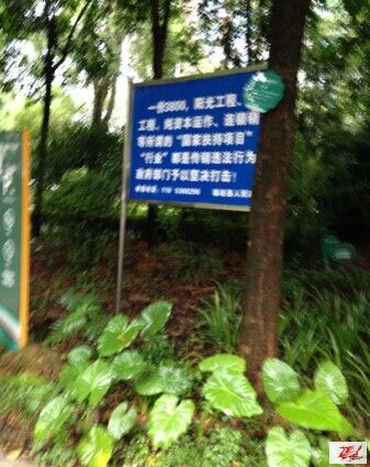 点击在新窗口查看原始图片