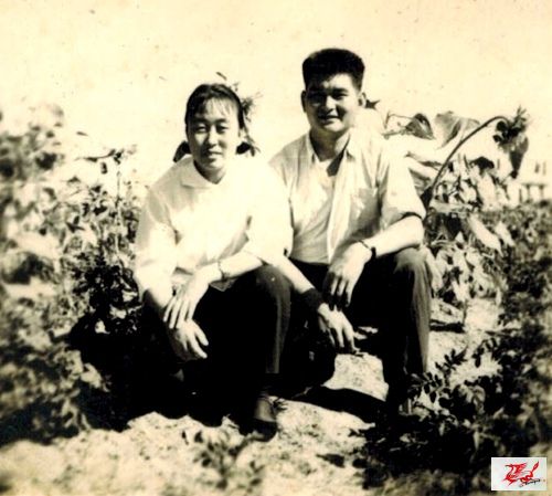 点击在新窗口查看原始图片