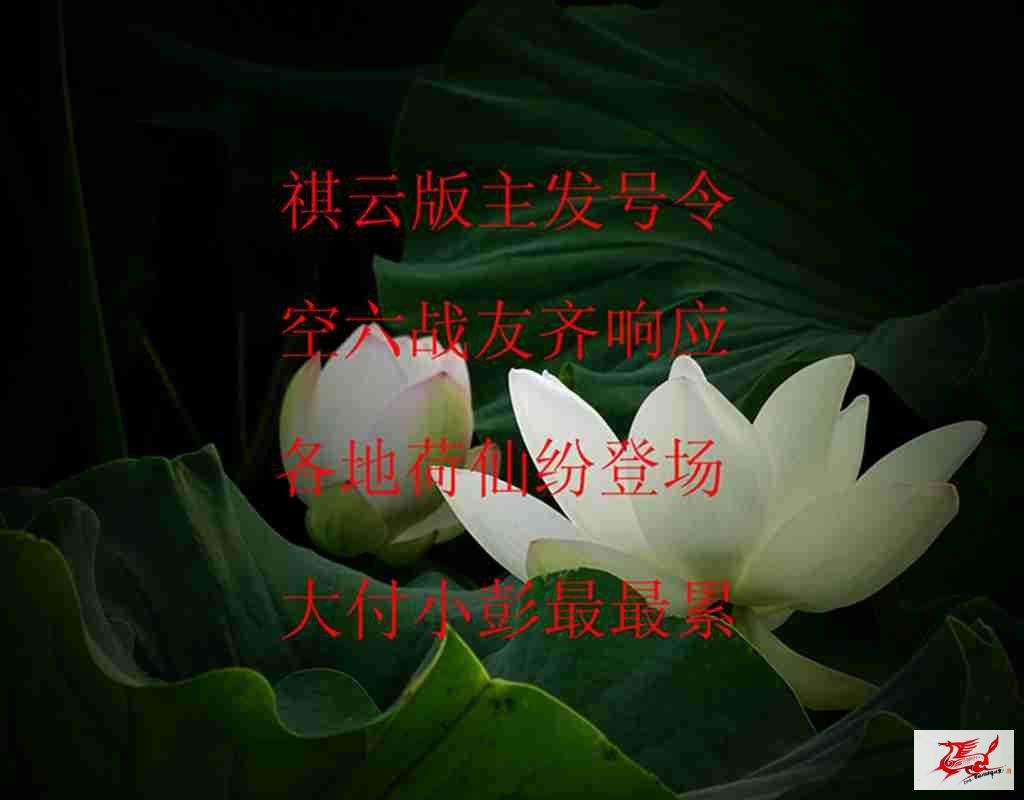 点击在新窗口查看原始图片