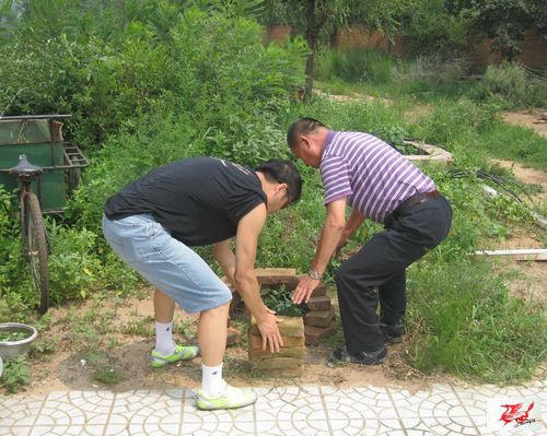 点击在新窗口查看原始图片
