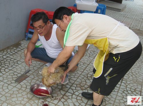 点击在新窗口查看原始图片