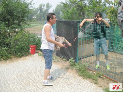 点击在新窗口查看原始图片
