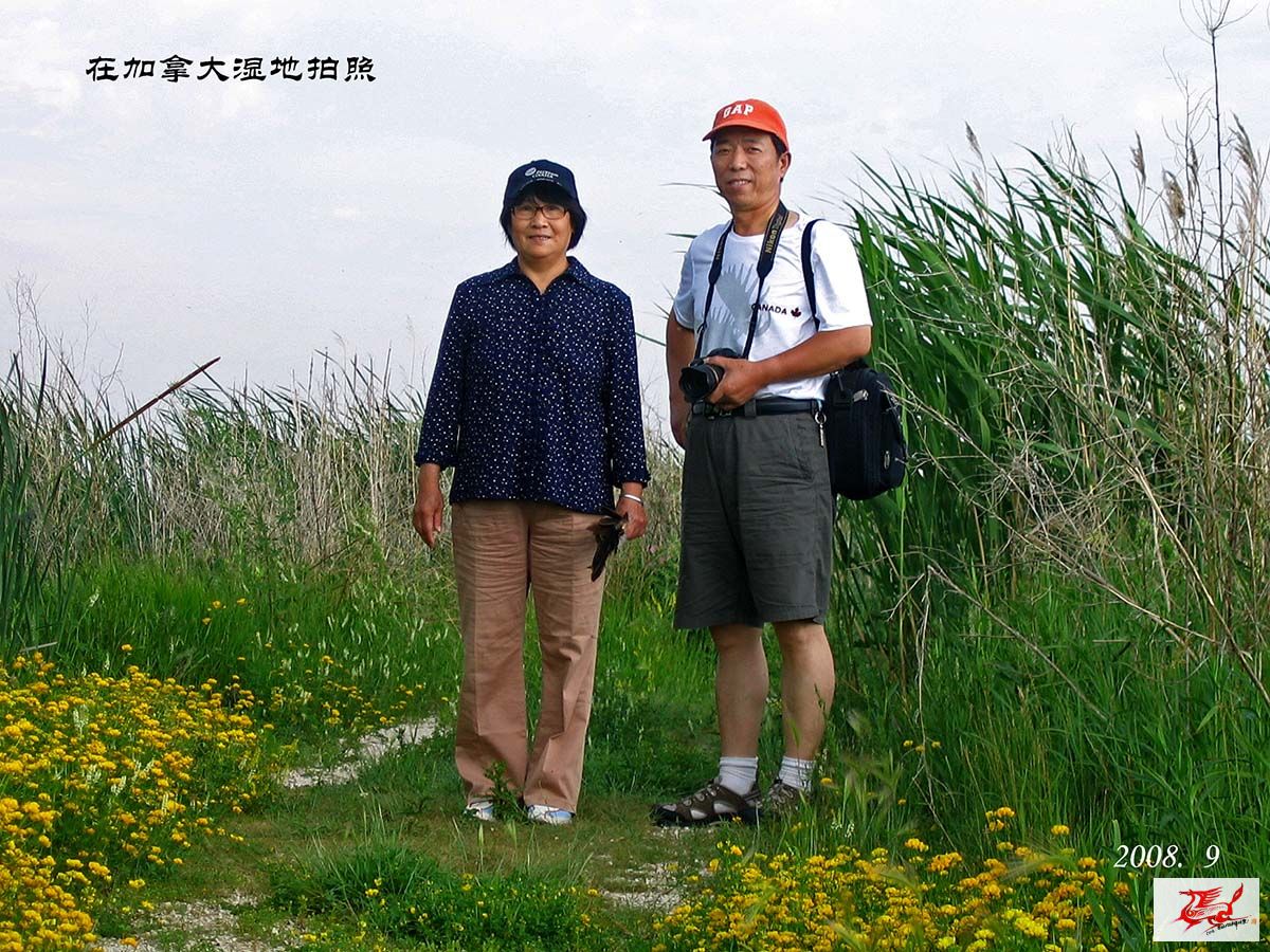 点击在新窗口查看原始图片