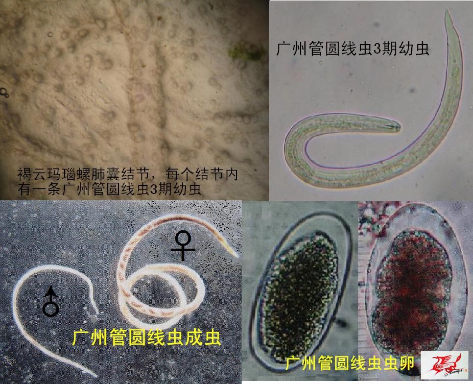 点击在新窗口查看原始图片