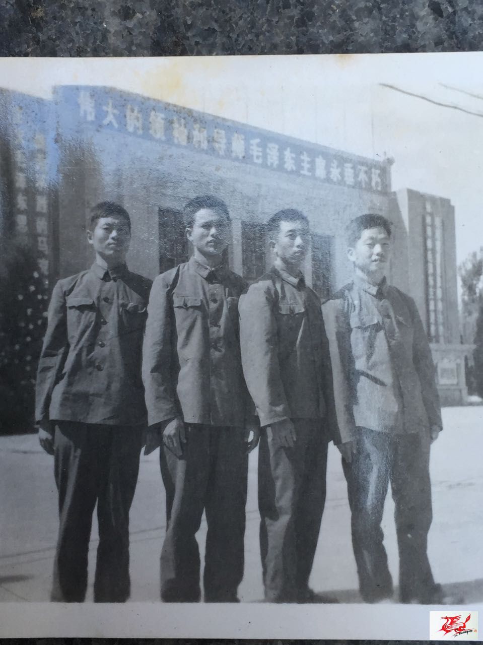 点击在新窗口查看原始图片