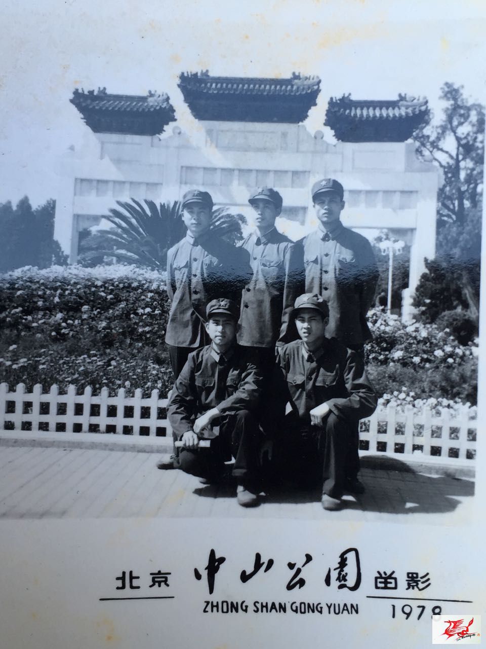 点击在新窗口查看原始图片