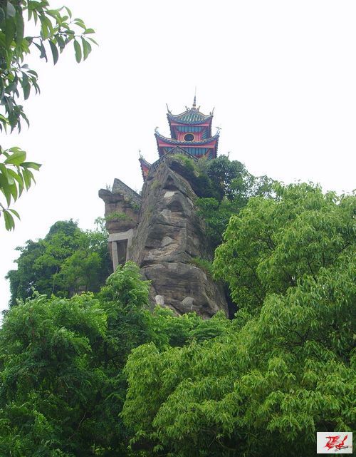 点击在新窗口查看原始图片