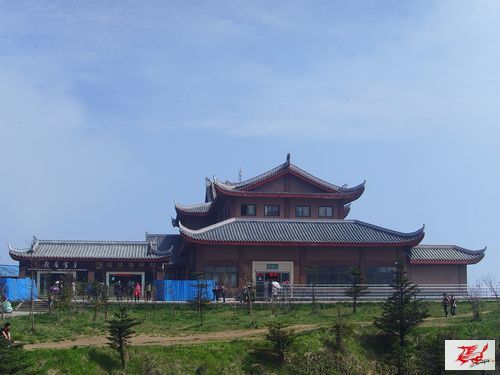 点击在新窗口查看原始图片