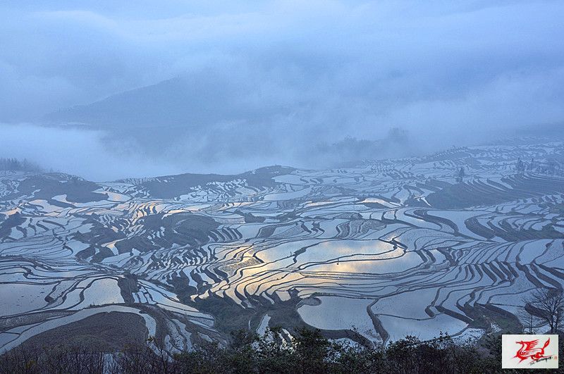 点击在新窗口查看原始图片