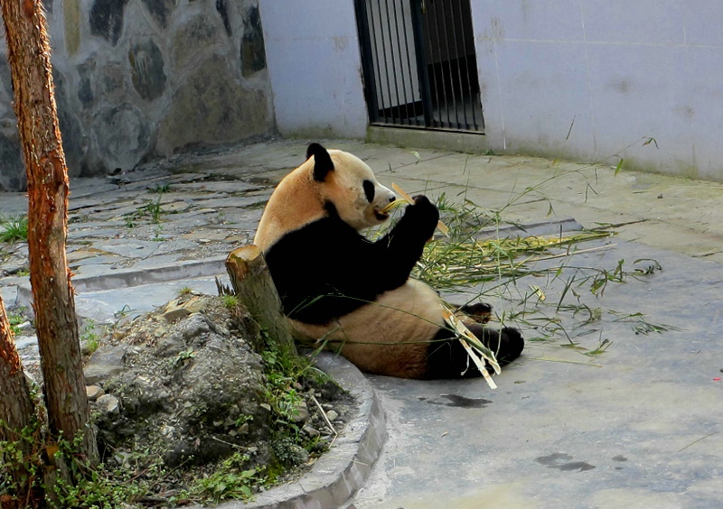 点击在新窗口查看原始图片