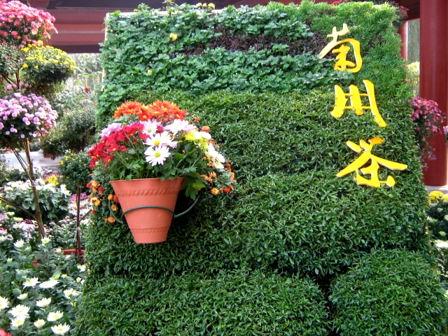 点击在新窗口查看原始图片
